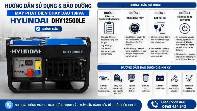 Máy phát điện HYUNDAI DHY12500LE